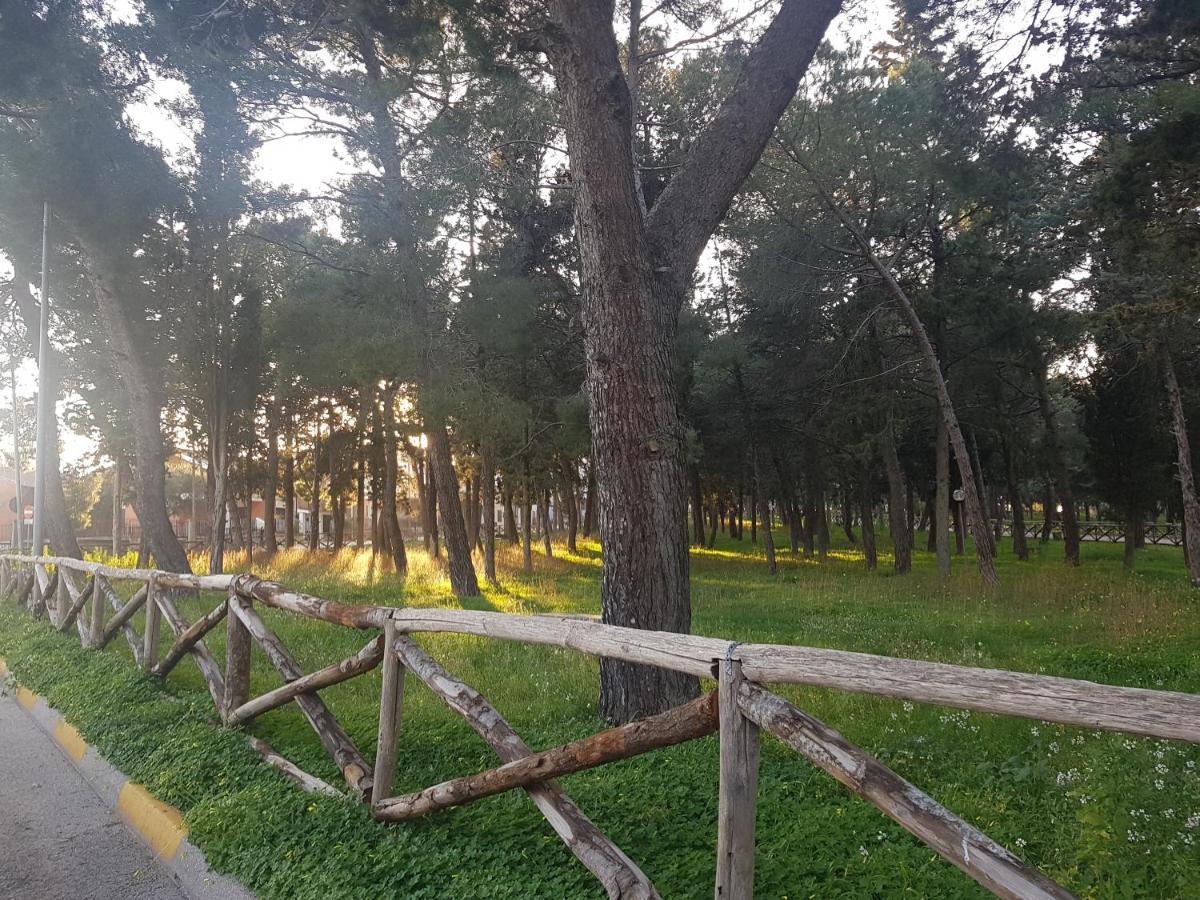 B&B La Pineta Quasani Экстерьер фото