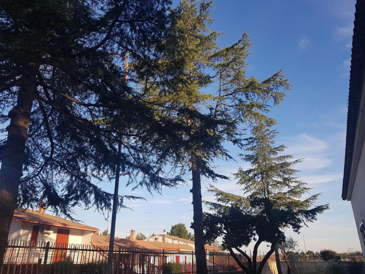 B&B La Pineta Quasani Экстерьер фото